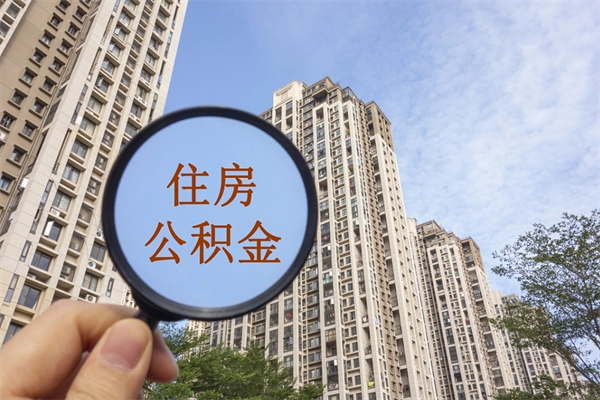 日照南京离职在职公积金代提取（日照我的南京离职公积金提取）